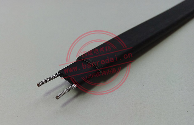 太陽能電伴熱帶結構